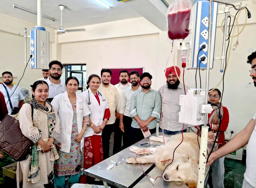 Vet Varsity Organises Pioneering Workshop on Blood Transfusion in Animals